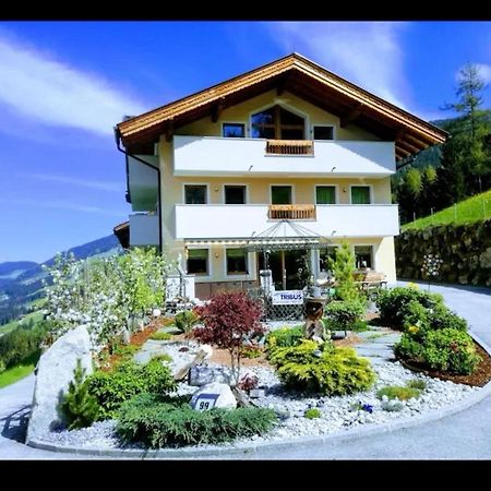 Ferienwohnungen Hinterstein Hart im Zillertal Exterior photo