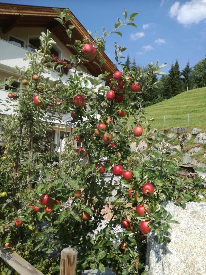 Ferienwohnungen Hinterstein Hart im Zillertal Exterior photo